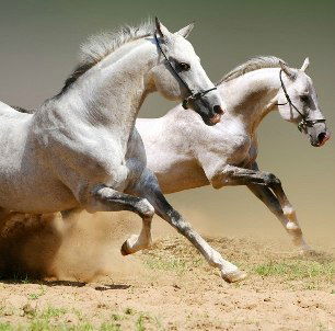 Жанна Уханова