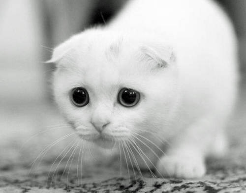 Наталья Журавлева