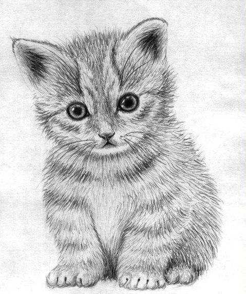 Валерия Жильцова