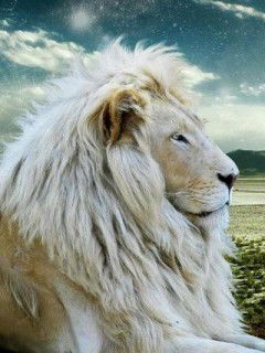 Ильмир Файзуллин