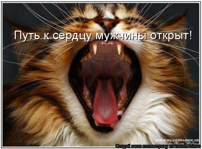 Николай Хотько