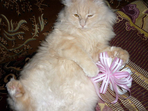 Юрий Анатольевичь