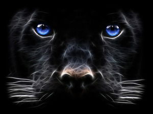 Анна Соловьева З.ф.