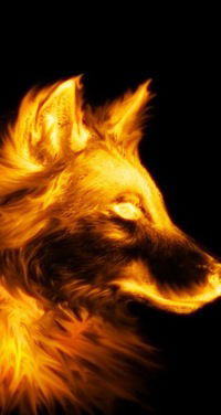 Рустэм Валиев