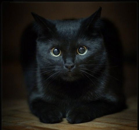 Ульяна Строганова