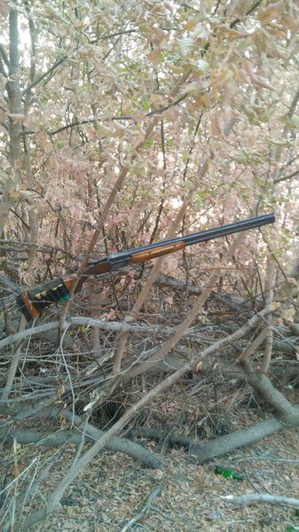 Любовь Бойко