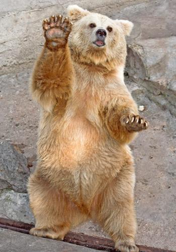 Михаил Погребнов