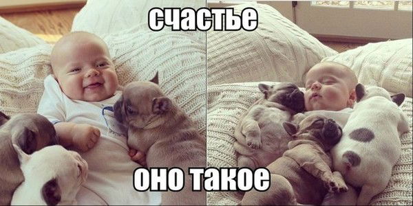 Владимир Липовка