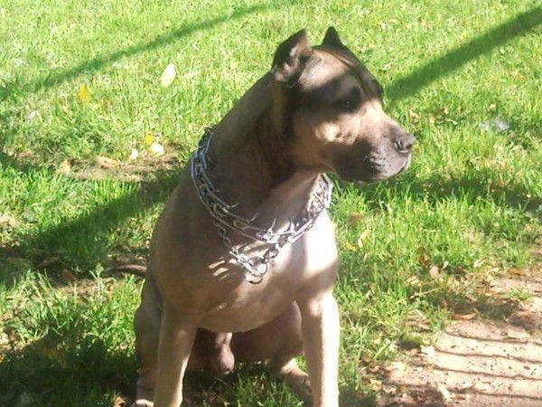 Кирилл Петров