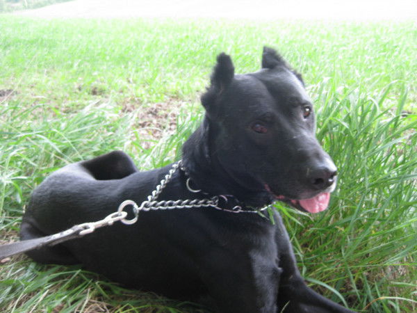 Лля Чернова