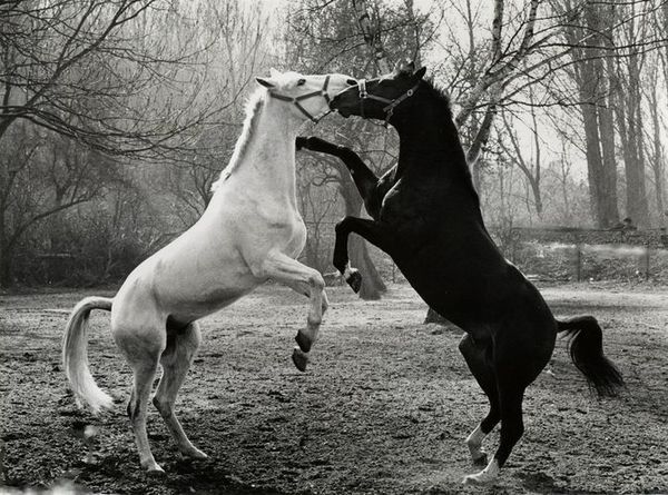 Акмарал Тургалиева