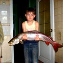 Вас Бус