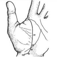 Нурлан Омарулы