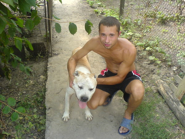 Олександр Доманюк