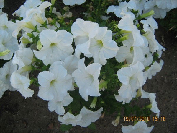 Катерина Сучкова