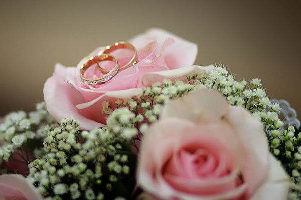 Елизавета Арсеньева