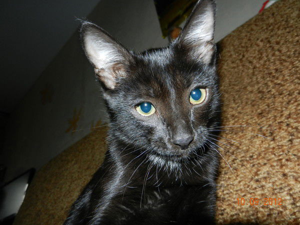 Пуховская Людмила