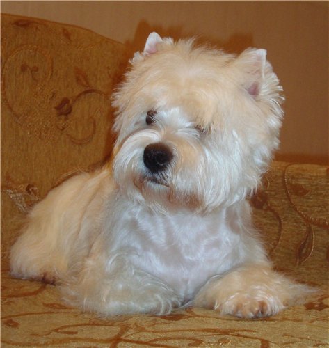 Светлана Смирнова