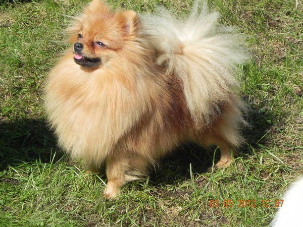 Валентина Агеева