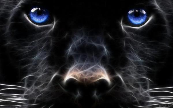 Ленка Пенка