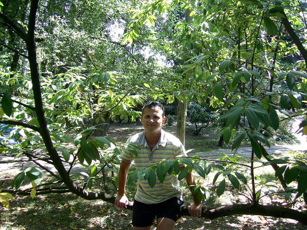 Андрей Калашник