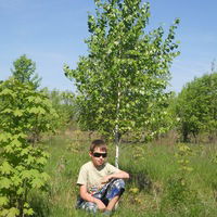 Дима Карагодин