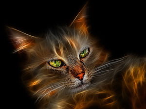 Игорь Дюмин