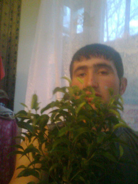 Нодир Катираев