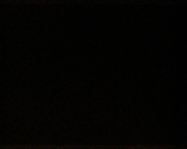 Алексей Шкурин