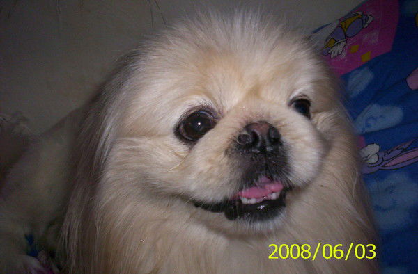 Татьяна Глебова