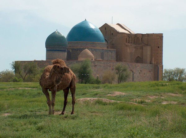 Жуйнек Вет.бекет