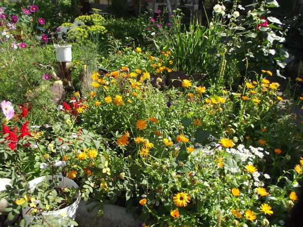 Оксана Ноздрачева