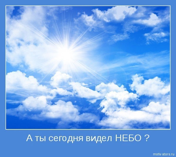 Анна Посохова