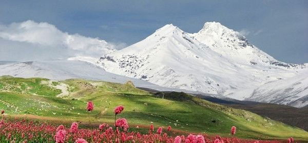 Елена Зибарева