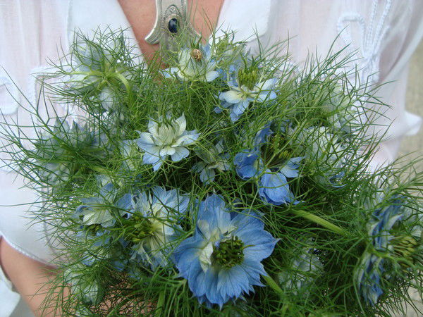 Ирина Сечина