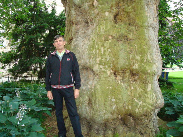 Пётр Павленко