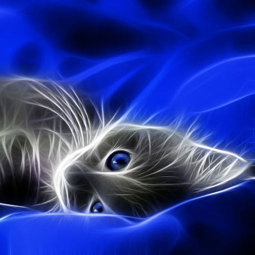 Настя Павлова