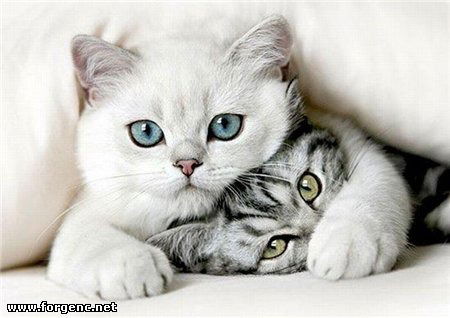 Евгения Прокопьева