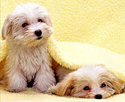 Гульнара Еркинбекова