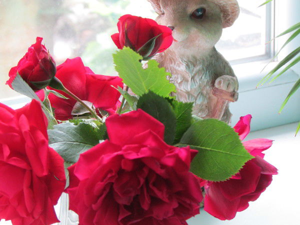 Наталья Кузьмич