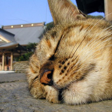 Топоров Алексей