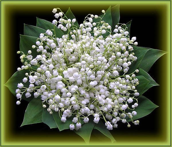 Гузель Шакирова