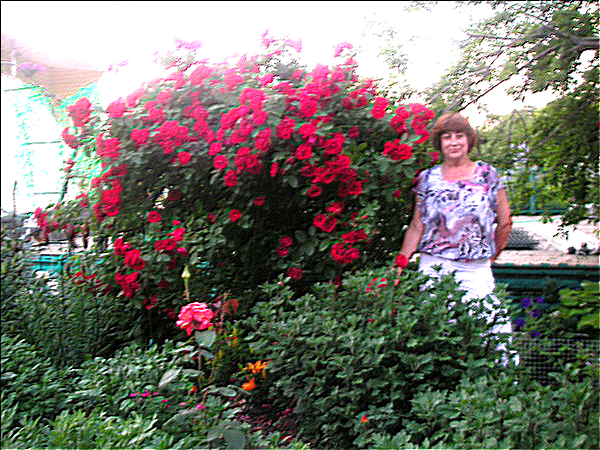 Любовь Афонина