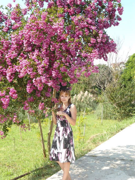 Елена Андреева