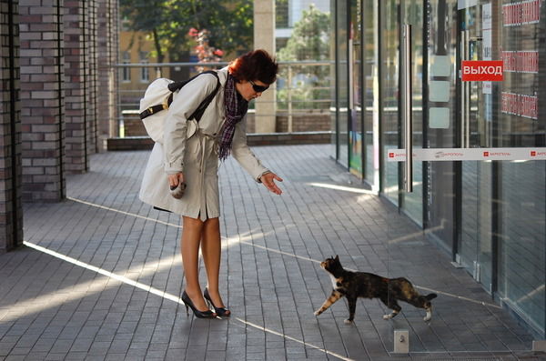 Елена Полянская