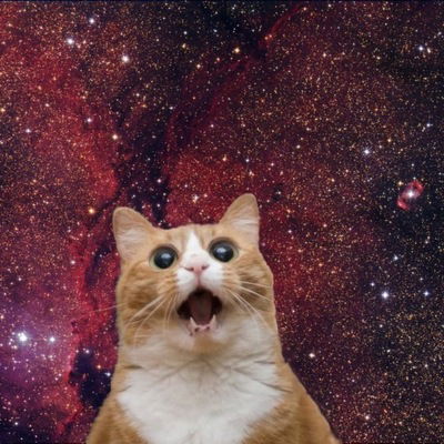 Алина Сергеевна