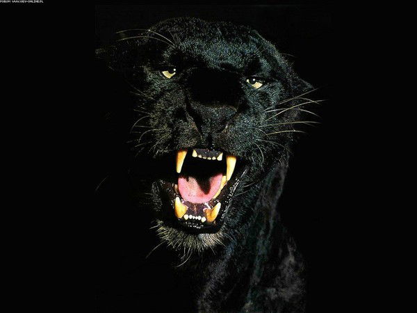 Геворг Чилджян