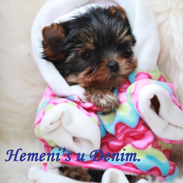 Просто Лиза