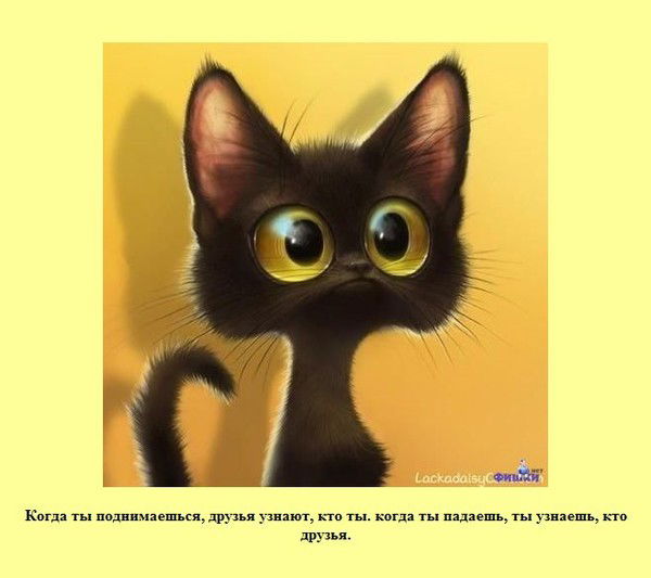 Самонина Светлана