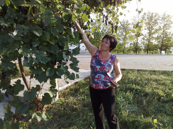 Неизвестно Неизвестно